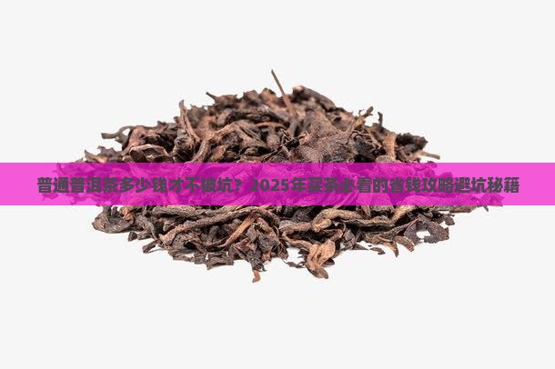 普通普洱茶多少钱合适