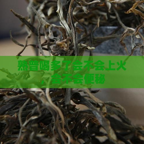 熟普喝多了会不会上火