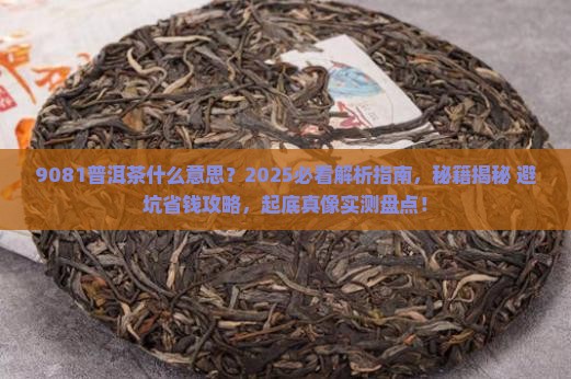 9081普洱茶什么意思