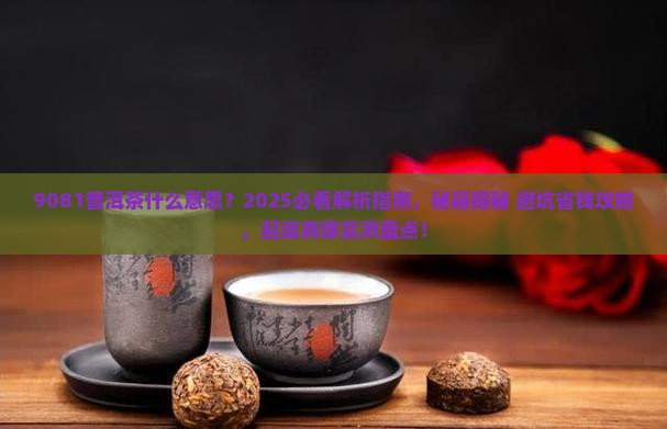 9081普洱茶什么意思