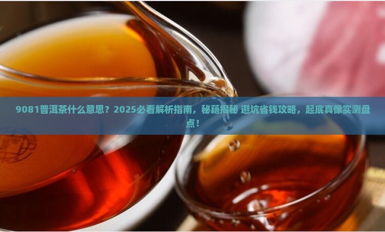 9081普洱茶什么意思