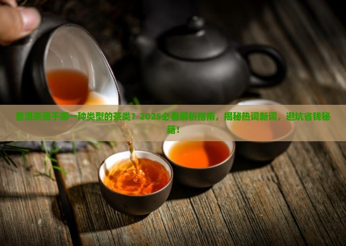 普洱茶属于哪一种类型的茶类