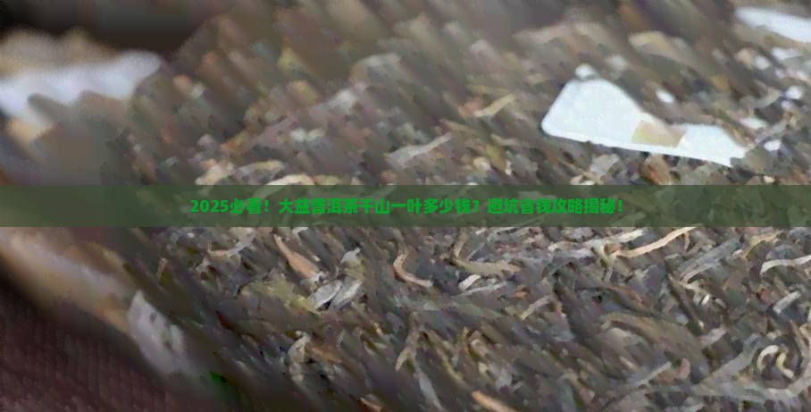 大益普洱茶千山一叶多少钱