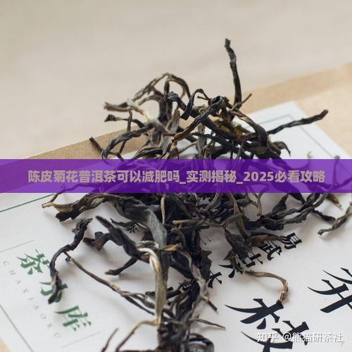 陈皮菊花普洱茶可以减肥吗