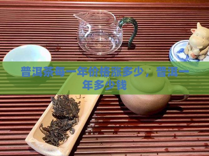 普洱茶每一年涨多少钱