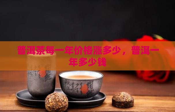 普洱茶每一年涨多少钱
