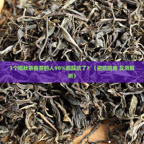 普洱茶秋茶春茶