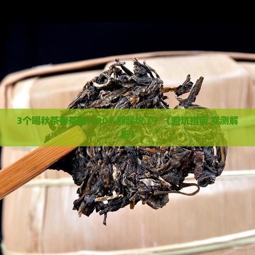 普洱茶秋茶春茶
