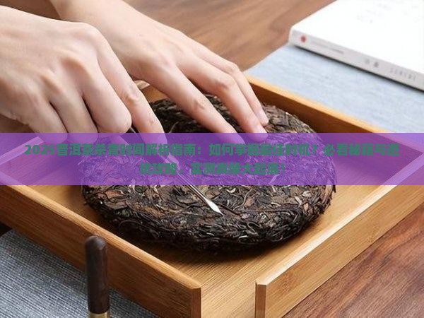 普洱茶杀青时间细节问题