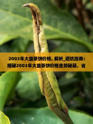 2003年大益茶饼价格