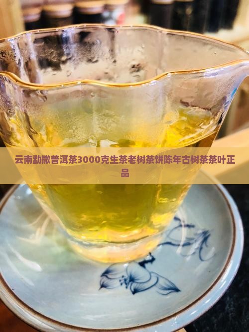 云南勐撒普洱茶3000克