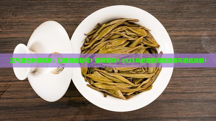 正气塘古树茶特点口感