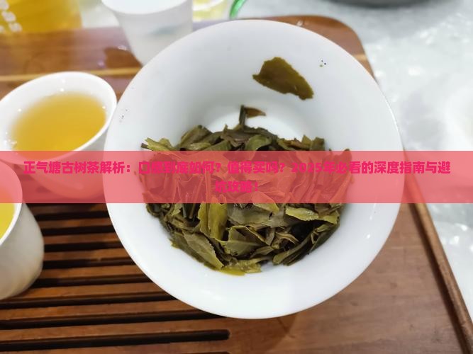 正气塘古树茶特点口感
