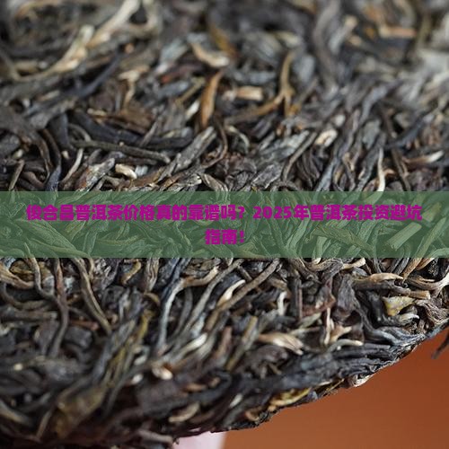 俊合昌普洱茶价格