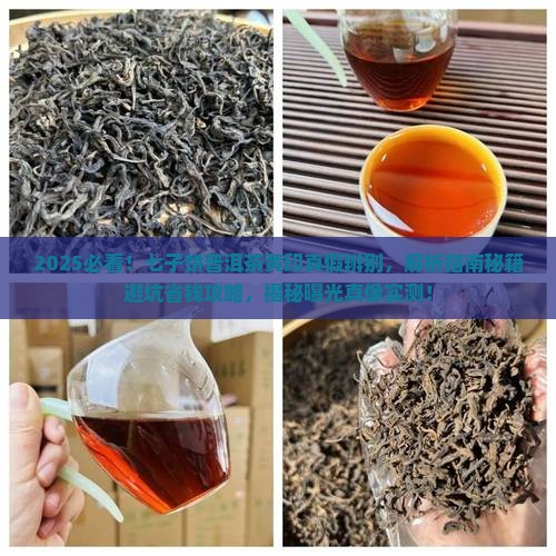 七子饼普洱茶黄印真假辨别