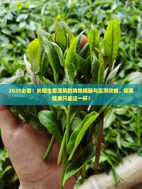 长喝生普洱茶的好处