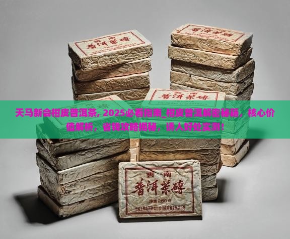 天马新会柑皮普洱茶