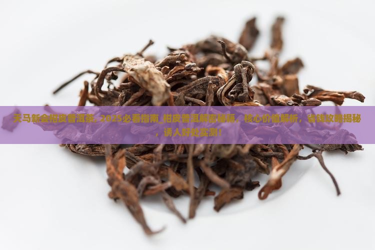 天马新会柑皮普洱茶