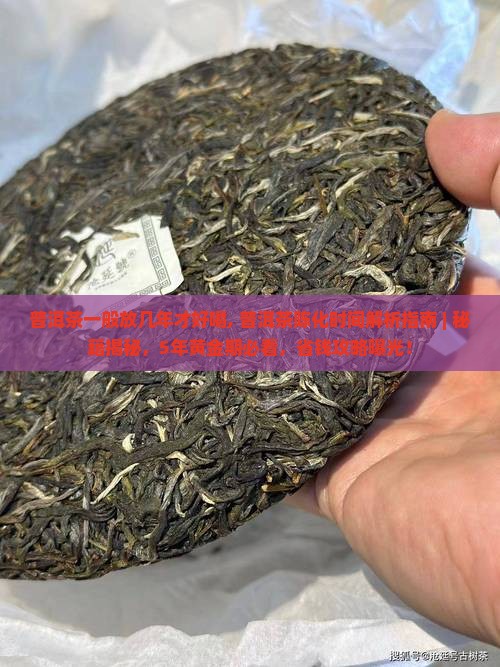 普洱茶一般放几年才好喝