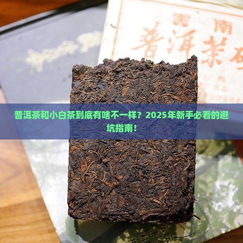 普洱茶小白茶的区别