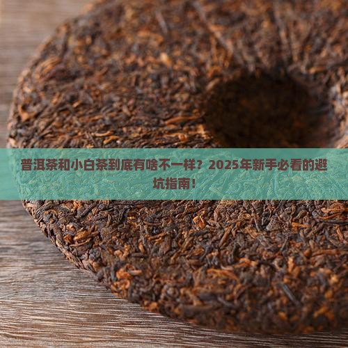 普洱茶小白茶的区别