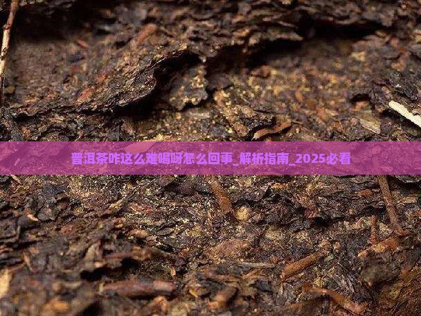 普洱茶咋这么难喝呀怎么回事