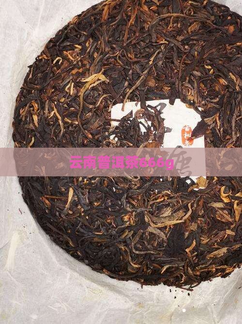 云南普洱茶666g