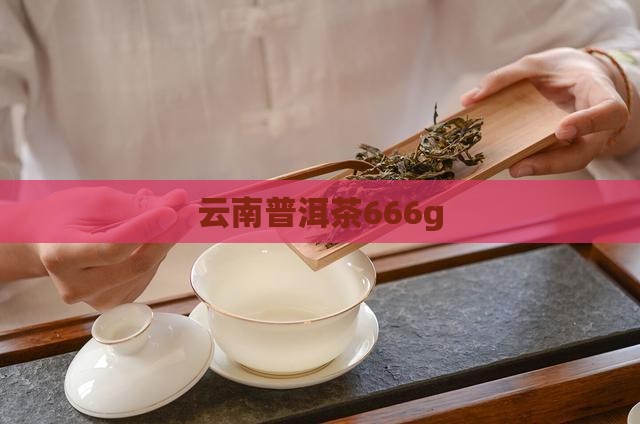 云南普洱茶666g