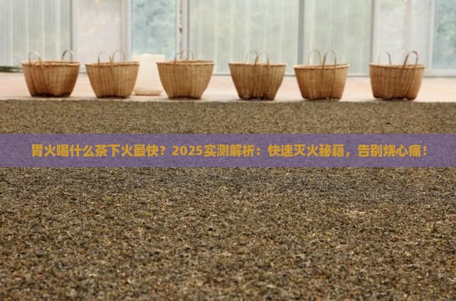 胃火喝什么茶下火最快
