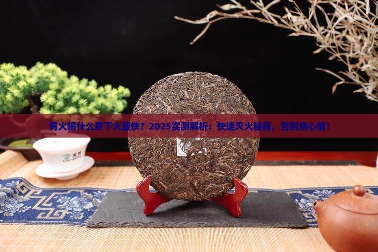 胃火喝什么茶下火最快