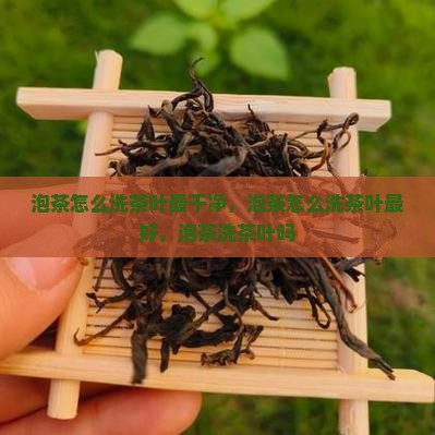 泡茶怎么洗茶叶