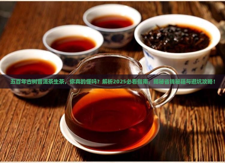五百年古树普洱茶生茶