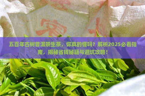 五百年古树普洱茶生茶
