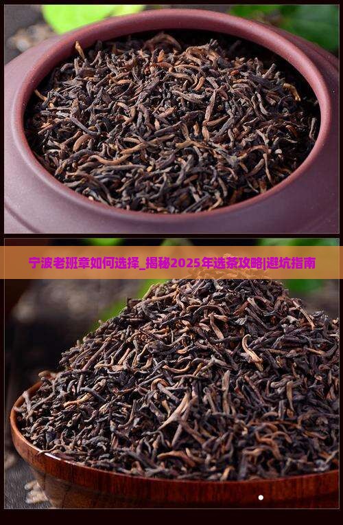宁波老班章如何选择