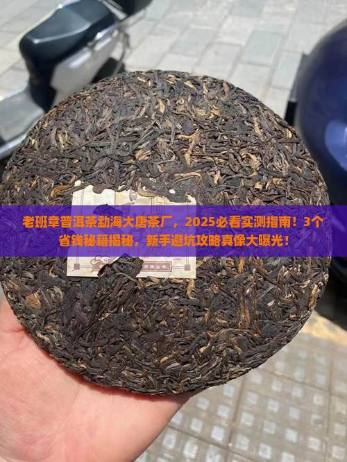 老班章普洱茶勐海大唐茶厂
