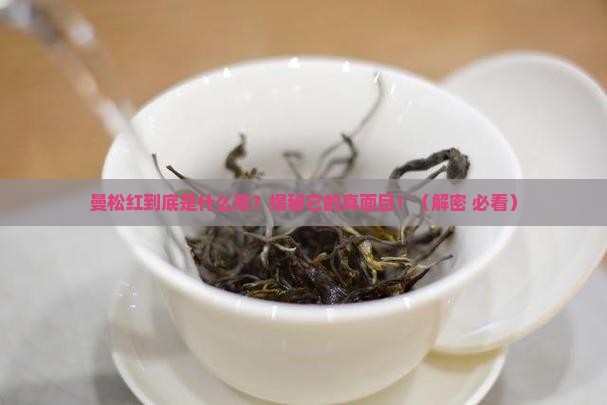 曼松红属于什么茶