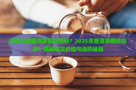 茶马古道普洱茶是好茶吗