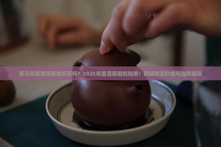 茶马古道普洱茶是好茶吗