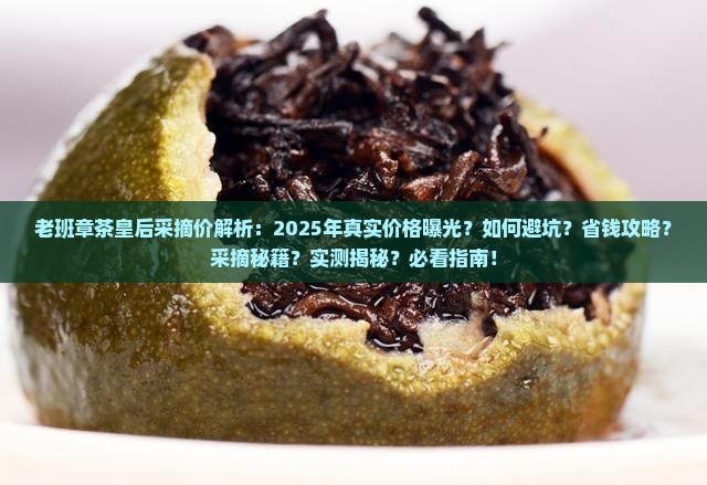 老班章茶皇后采摘价