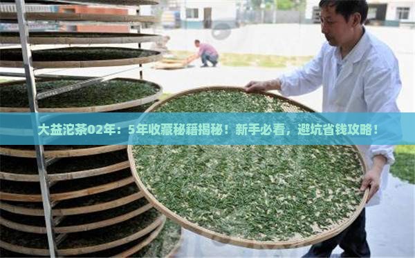 大益沱茶02年