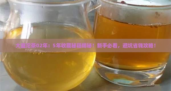 大益沱茶02年