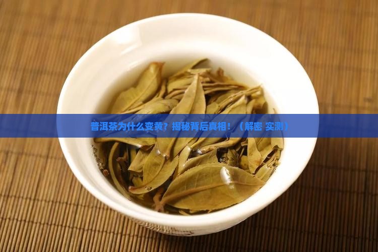 普洱茶黄色是什么