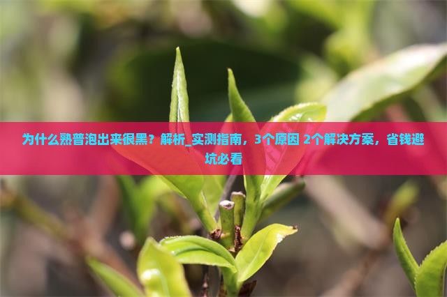 为什么熟普泡出来很黑
