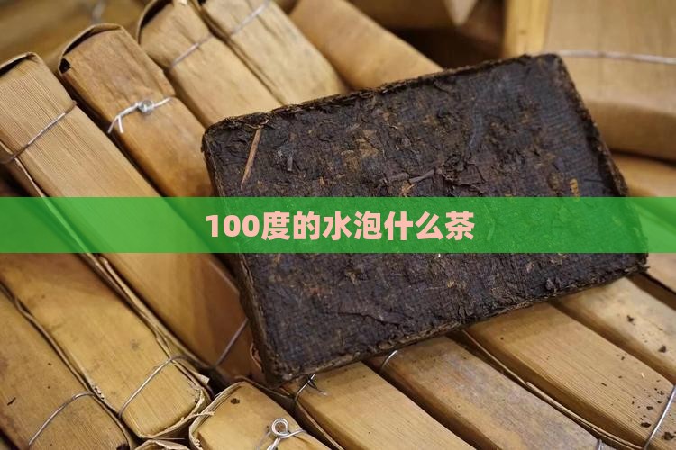 100度的水泡什么茶
