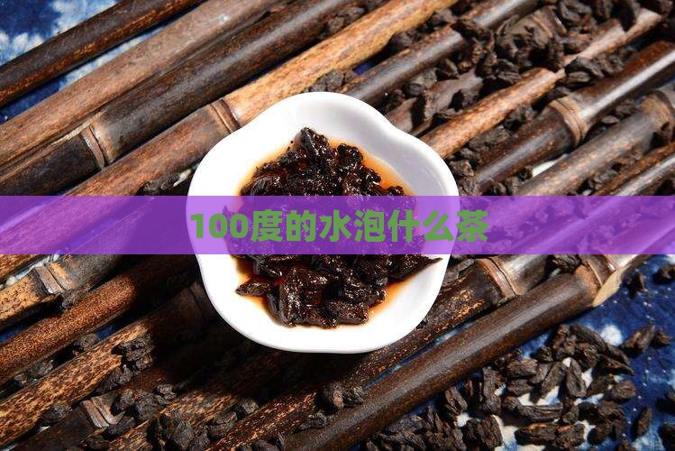 100度的水泡什么茶