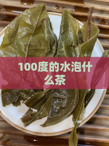 100度的水泡什么茶