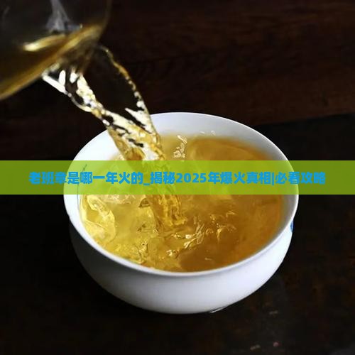 老班章是哪一年火的