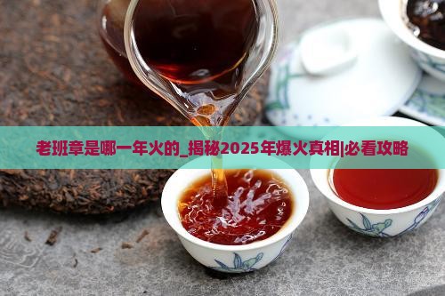 老班章是哪一年火的