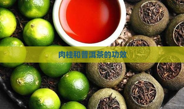 肉桂和普洱茶的功效