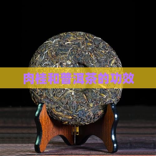 肉桂和普洱茶的功效